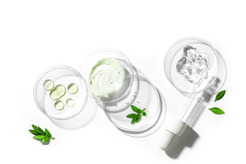 Petri dishes with green plants