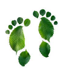 Human barefoot footprints made of living green leaves. Green footprint. Ecology and environmental protection. Isolated on white background. Footprint made of green leaves.