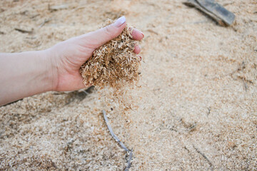 A handful of dry technological wood chips. Selective focus.