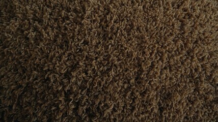  Close-up of soft, plush carpet texture in brown tones. Ideal for home decor, interior design, and textile projects.