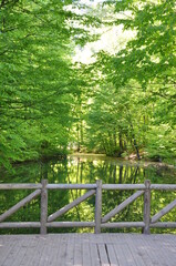 Fototapeta premium Beautiful nature view in Seven Lakes (Yedi Goller) National Park, Bolu, Turkey.