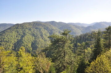 Beautiful nature view in Seven Lakes (Yedi Goller) National Park, Bolu, Turkey.