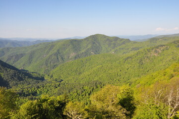 Obraz premium Beautiful nature view in Seven Lakes (Yedi Goller) National Park, Bolu, Turkey.