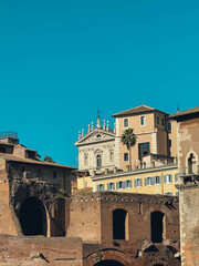 Fototapeta premium A building with a church on top and a palm tree in front. The building is old and has a lot of windows