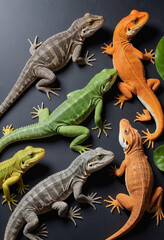 Fototapeta premium Reptiles 
