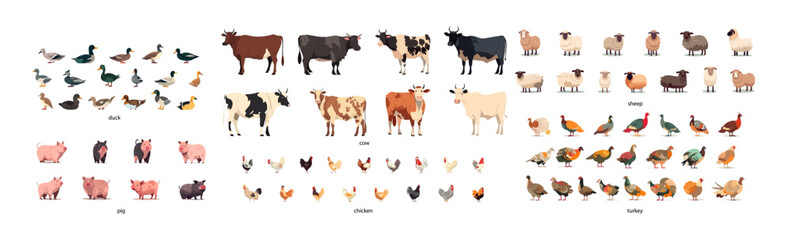 Farm animals. Big set of 94 illustration for educational materials, agricultural publications or children's books. Vector isolated
