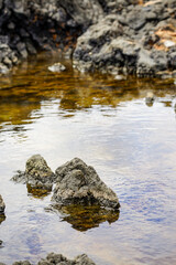 Vulkanische Felsen im Wasser auf Lanzarote