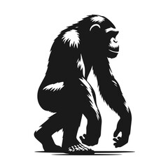 Black and white vector silhouette of a Monkey isolated on white background	

