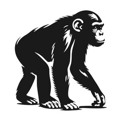 Black and white vector silhouette of a Monkey isolated on white background	
