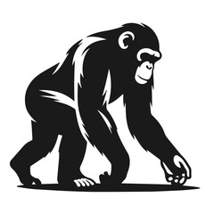 Black and white vector silhouette of a Monkey isolated on white background	
