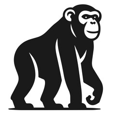 Black and white vector silhouette of a Monkey isolated on white background	
