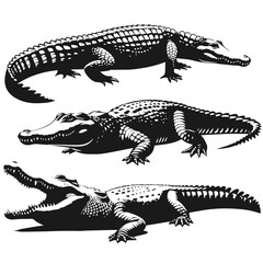 Black and white vector silhouette of a 
Crocodile isolated on white background	

