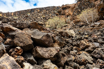 Vulkanische Felsformationen auf Lanzarote mit Pflanzen