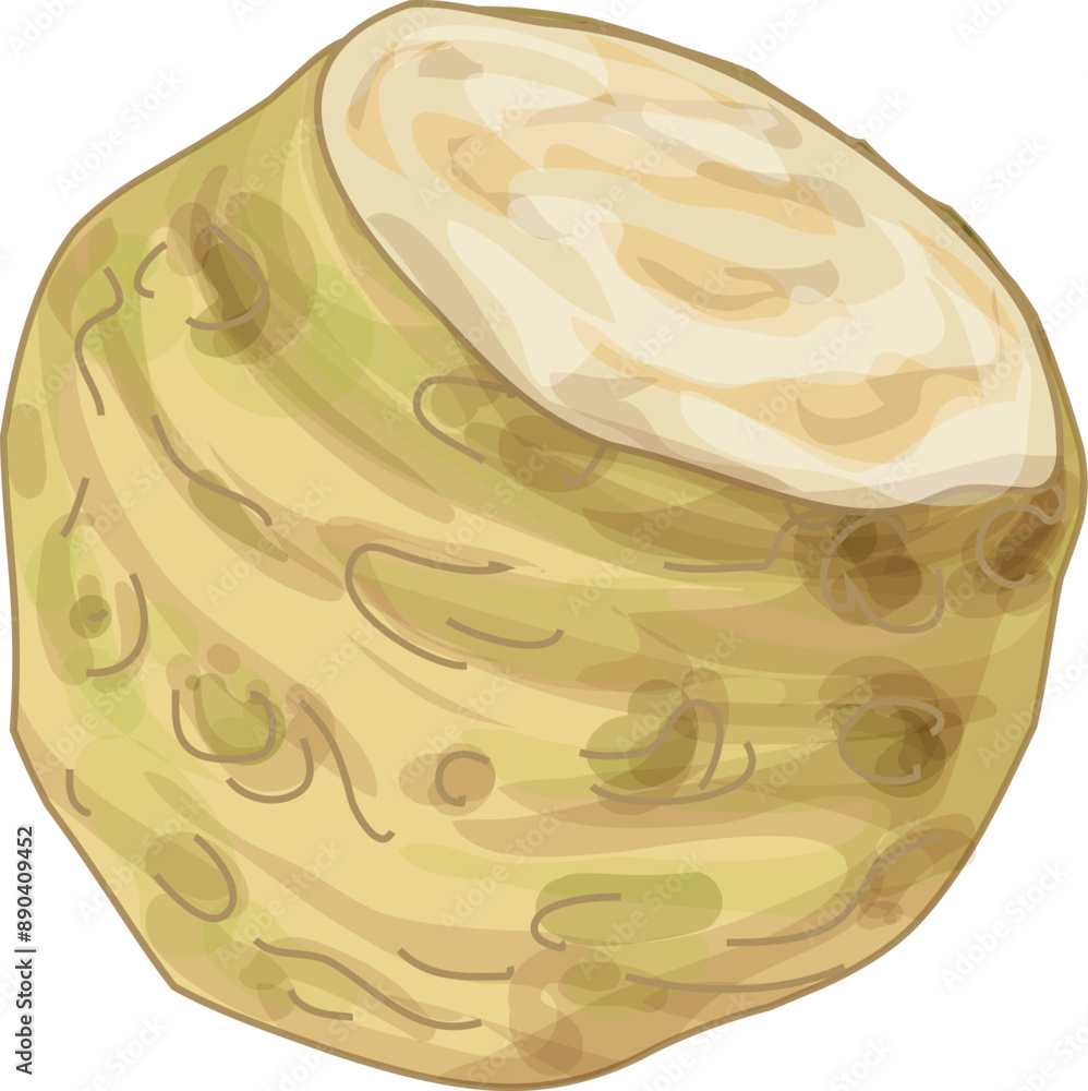 Poster illustration of a celery root showing a cross section on a white background