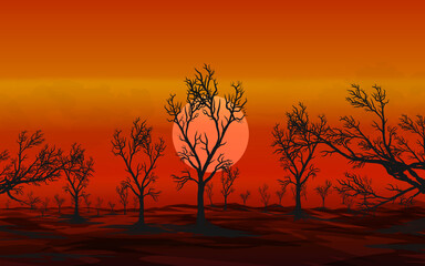 the sun sets behind the autumn forest