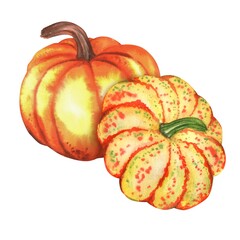 Two large fall pumpkins orange and yellow. Fall vegetable harvest festival. Thanksgiving pumpkins. Hand-drawn watercolor illustration.