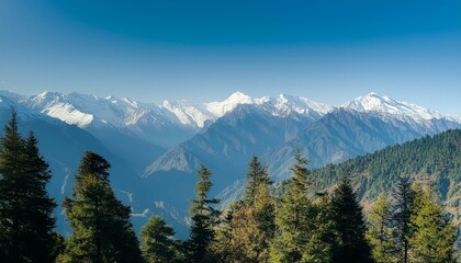 Fototapeta premium A snow valley with trees against majestic peaks