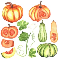A bundle of colorful green and orange pumpkins and squashes, slices, green leaves and seeds. Autumn vegetables clipart. Hand-drawn watercolor illustrations.