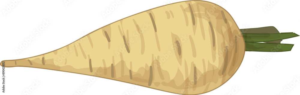 Poster single parsnip lying horizontally with a green stem, isolated on a white background