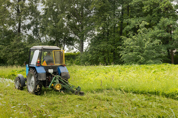 Obraz premium Tractor mows the grass. Professional motorized ride on lawn mower cutting fresh grass.