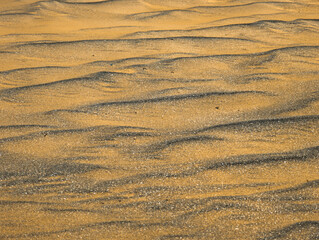 Sand texture close up on a beach