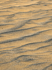 Sand texture close up on a beach