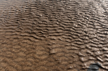 Natural texture: top view of beach sand, clear, clean and smooth. Minimalist background for summer concepts, travel, vacations and outdoor enjoyment.