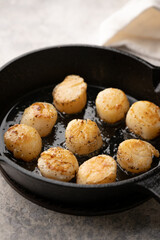 cooking sclallop on iron skillet pan