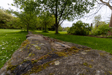 a small wall in the park