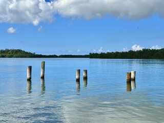 peaceful seascape of Guadeloupe in the French West Indies with a view of wooden posts in an arm of the sea of ​​the Grand Cul de Sac Marin
