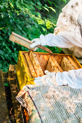 Naklejka premium Beekeeper in White Protective Suit Beekeeping the Beehives While Beekeeping