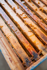 Top View of a Beehive with Wooden Frames Filled with Honeycombs and Honey Cells