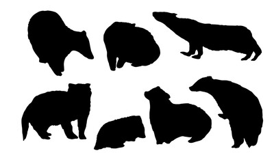 Set of silhouettes of European badgers Meles meles. Forest wild animals of Europe. Vector animals © AnnstasAg