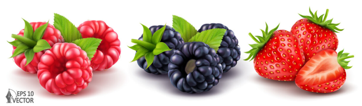 Ripe blackberries, raspberries, strawberries and green leaves. Vector realistic set of wild forest berries. 3D food illustration isolated on white background for advertising and packaging design