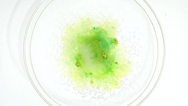 Closeup of with Bacteria, Part of Microbiome and Causative Agents of Different Infections. Virus Testing Samples of Bacteria in Cells at Medical Lab Facility. A Colony of Mold in a Petri Dish. 4k