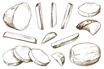 White potatoes, peeled, whole, half, cut into slices and sticks for French fries. Graphic illustration hand drawn in brown ink. EPS vector on the theme of harvest cooking, food, packaging