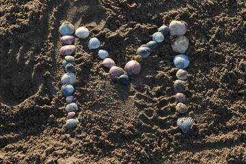 Letras creadas con ostras sobre la arena