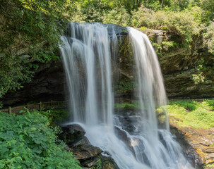 waterfall in the forest