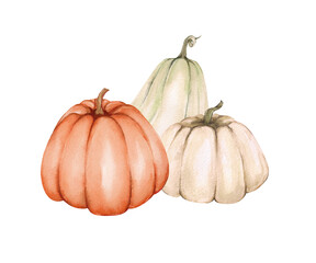 Watercolor composition of pumpkins. Orange, beige and green pumpkin. Composition for autumn design and decoration. Harvest festival, postcard, print.