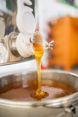 Fresh Beekeeping Honey Flowing Out of a Barrel Into the Sieve for Filtration Close Up