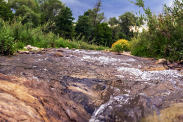 Landscapes -  Forest - Europe, Romania, Suceava region