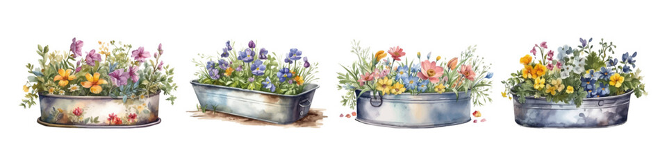 Watercolor flowerpot set. Home plants vector illustration.