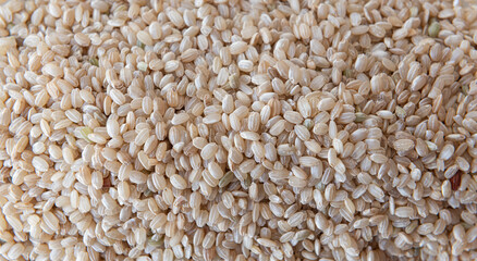 Short brown rice also called yamani