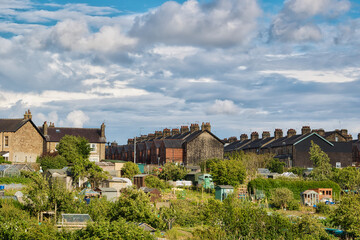 Residential area with houses and gardens under cloudy sky