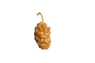 dried white mulberry isolated
