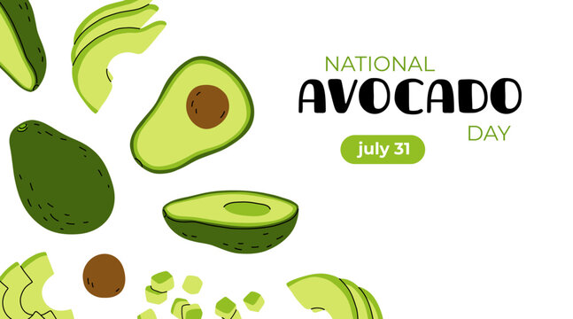 National avocado day design template. whole Avocado fruit. Cartoon vector illustration. National avocado day greeting banner template. flat design.