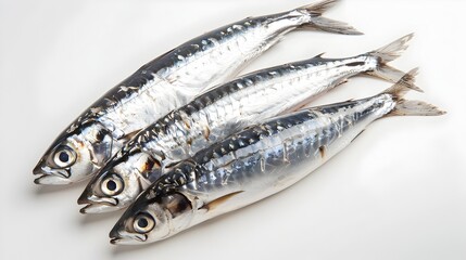 Glistening Sardines on a Pristine White Background for Culinary Delight