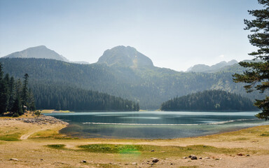 Black Lake, Montenegro on sunny afternoon. Mountain lake surrounded with pine trees. Crno jezero lake in a valley and Durmitor mountain range in the background.