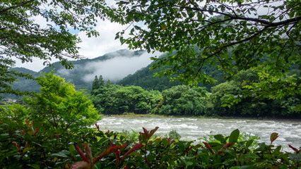 梅雨、雨上がりの川と森。