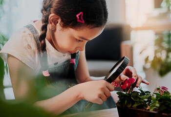 Child, magnifying glass and flowers for learning biology with knowledge, curiosity and eco friendly research in home. Girl, zoom lens and plant inspection for education, growth and species analysis